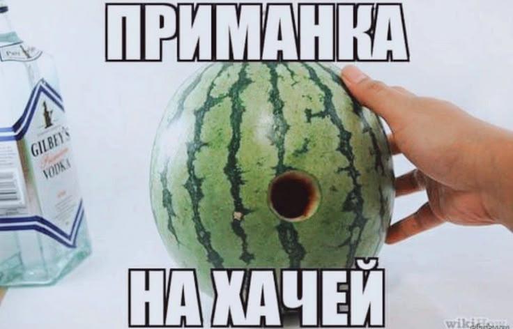 6586739 - изображение на LocalQQ