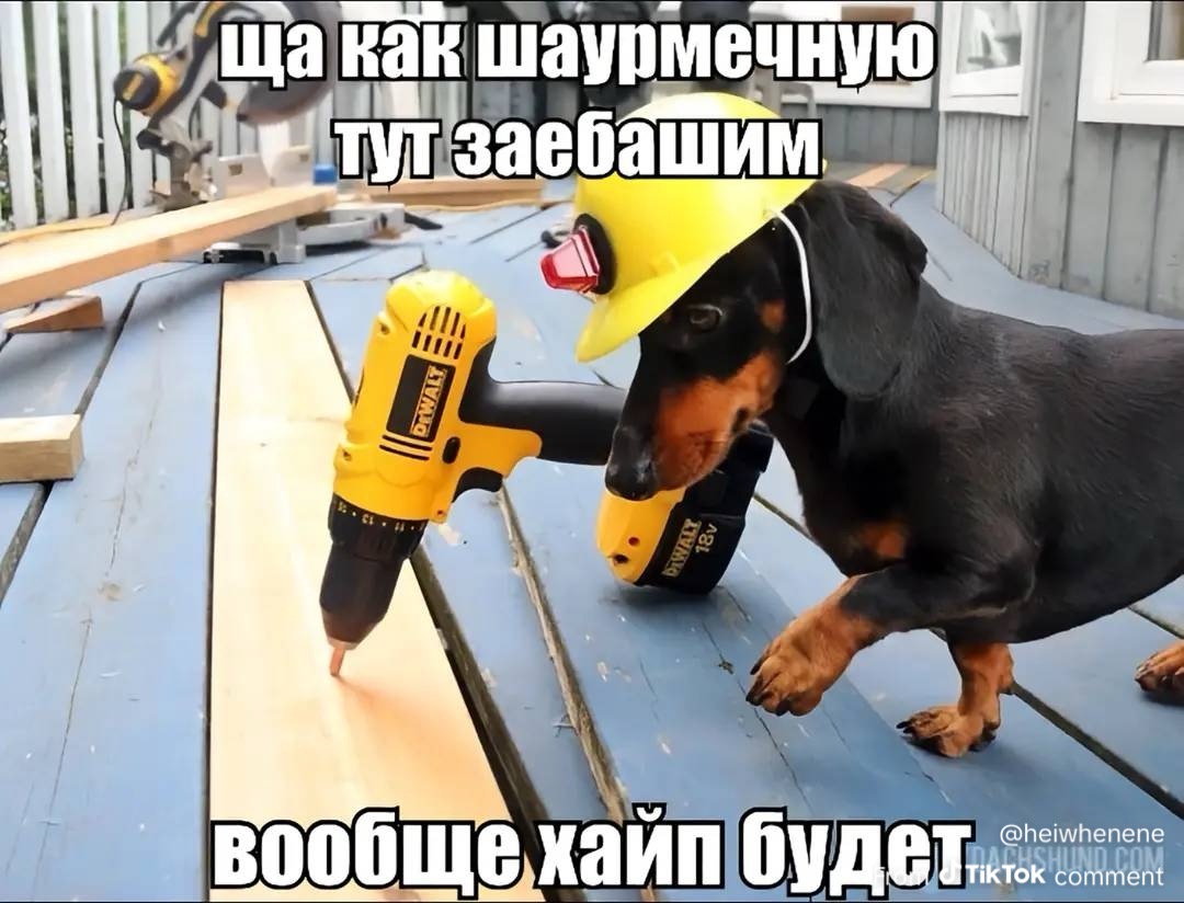 IMG_0927 - изображение на LocalQQ