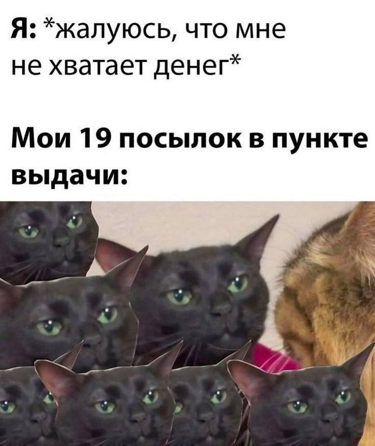 IMG_5271 - изображение на LocalQQ