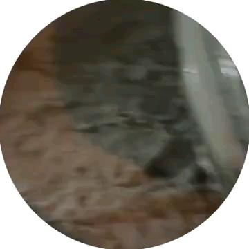 6603803 - изображение на LocalQQ